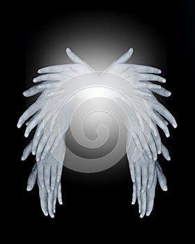 Angel wings