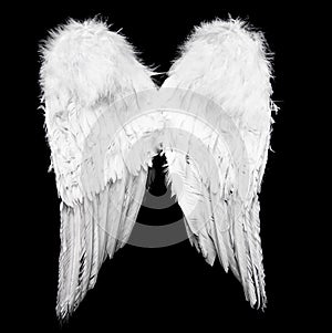 Angel wings