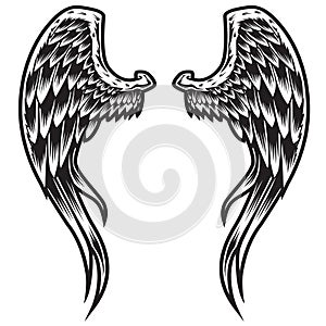 Wings Bird feather Black & White Tattoo Vector Illustration 77