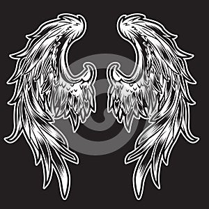 White Wings Bird feather on black background  Tattoo Vector