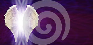 Angel Wings Banner Head on Purple Matrix