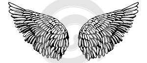 Angel wings, bird wings collection cartoon hand drawn vector illustration sketch