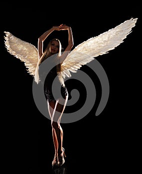 angel with wings on black background