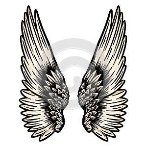 Angel wings with feathers - hand drawn - vector illustration