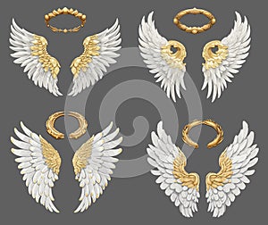 Angel wings with gold nimbus. Golden halo above white angels group, winged holy elements vector collection isolated