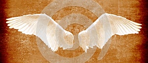 Angel wings on grunge texture in brown tones photo