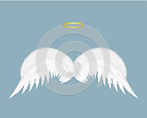 Angel wings and halo isolated on background. Vector illustration. photo