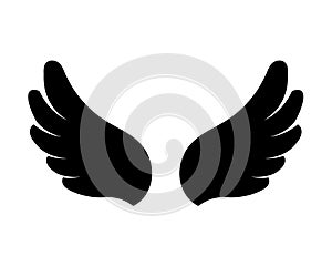 angel wings in heaven hawk feather wing pattern