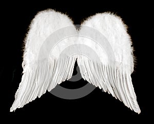 Angel Wings Isolated on Black