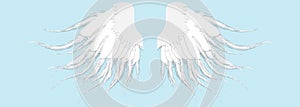 Angel wings isolated on the blue background. Wings of the Seraph