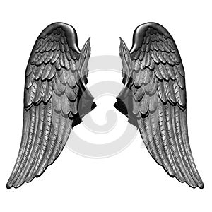 Angel wings isolated on white background