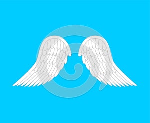 Angel wings isolated. White feather bird wings. Vector illustration