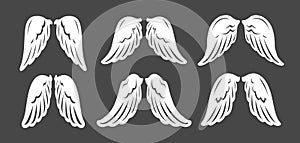 Angel wings set. Design graphic element. Template for logo. Vector illustration