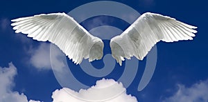 Angel wings with sky background photo