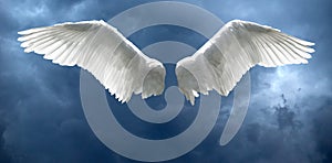 Angel wings with stormy sky background