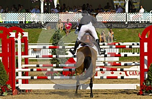 Angela Covert-Lawrence