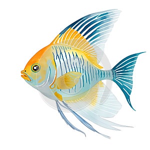 Angelfish in Cartoon style in watercolor style in cartoon style. Cute Little Cartoon Angelfish isolated on white background.