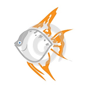 Angelfish common fish icon colour. Singe aquarium fish icon from the sea,ocean life colour.
