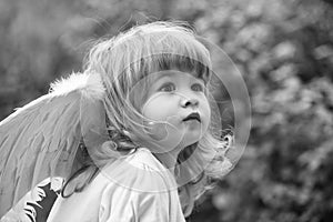 Angelic child. small boy in angel wings