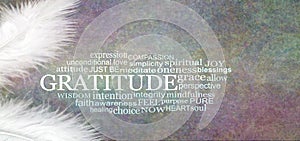 Angelic GRATITUDE Word Cloud Rustic Banner photo