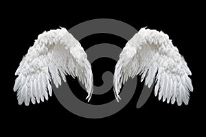 Angelic White Feathered Wings Isolated on Black