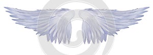 Angelic Wings photo