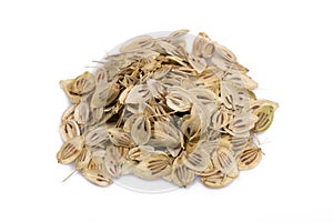 Angelica Seeds