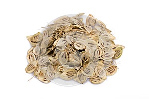 Angelica Seeds photo