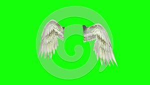 Angels Birds White Wings Flapping 3D Rendering Green Screen