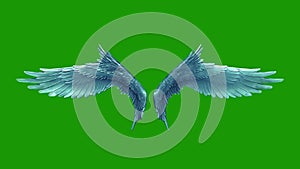 Angels Flapping Wings Loop Green Screen 3D Renderings Animations