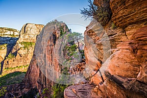 Angels landing hiking trail in Zion National Park, Utah, USA