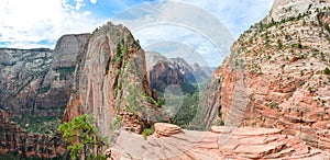 Angels landing trail in zion national park, panoramic picture