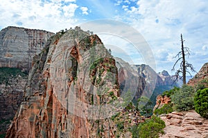 Angels landing trail in zion national park in summer, panoramic