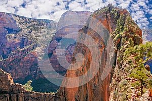 Angels Landing. Zion National Park, Utah, U.S.A