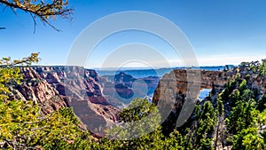 Angels Window at Cape Royal on the North Rim of the Grand Canyon