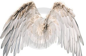 Angels Wings Rear View, Isolated On White Background. Generative AI