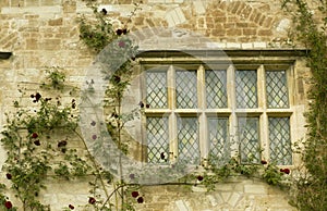 Angelsey Abbey - window detail