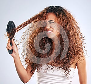 Anger, beauty or curly and woman brushing hair in studio on gray background with moody expression. Angry. hair and salon