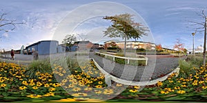 Angered Suburbia of Gothenburg, Park Flowers and Tree, 360 Photo