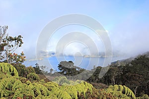 Anggi Gida Lake, Arfak Mountains, Papua