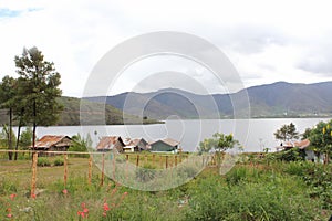 Anggi Giji Lake, Arfak Mountains, Papua