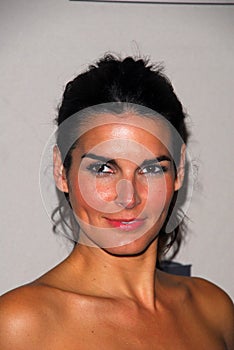 Angie Harmon