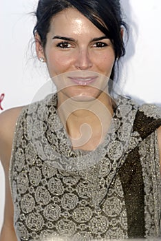 Angie Harmon on the red carpet