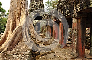 Angkor Wat, Cambodia. Khmer Banteay Kdei temple ruins photo