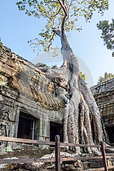 Angkor in combodia