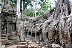 Angkor Preah Khan photo