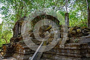 Angkor, Siem Reap, demaged Temple of Beng Mealea, Cambodia. Big roots over walls and roof of a temple.