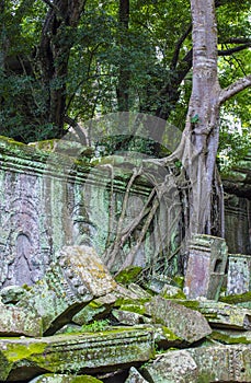 Angkor Thom Cambodia