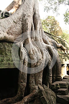 Angkor Thom - Cambodia photo