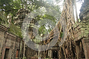 Angkor Thom - Cambodia photo